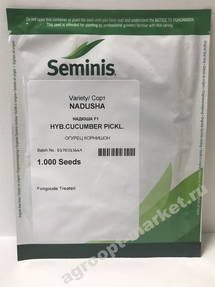 Надюша F1 семена огурца пчелоопыляемого (Seminis / Семинис) – фото 2