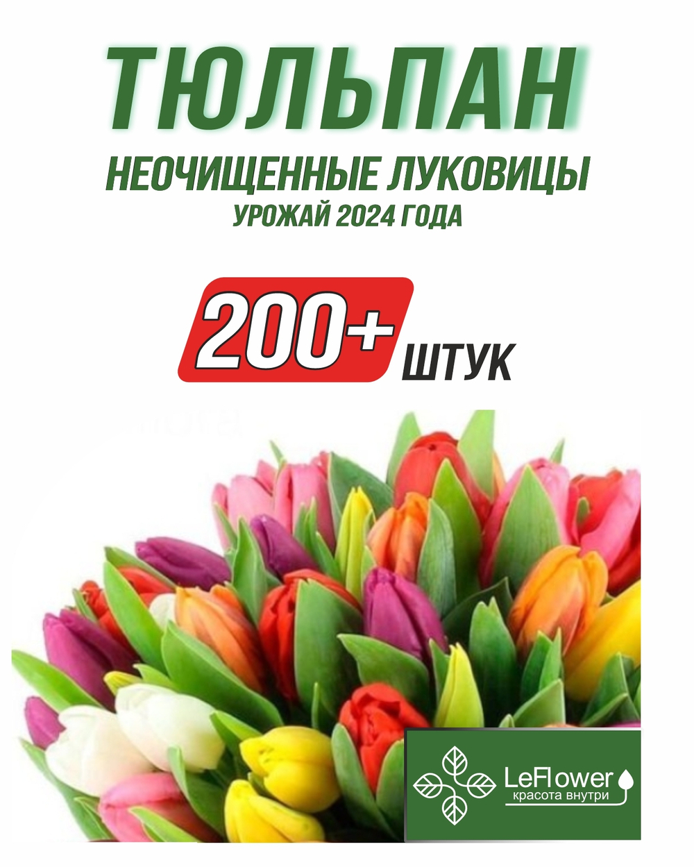 Тюльпан Луковицы неочищенные, Микс сортов, 200шт+
