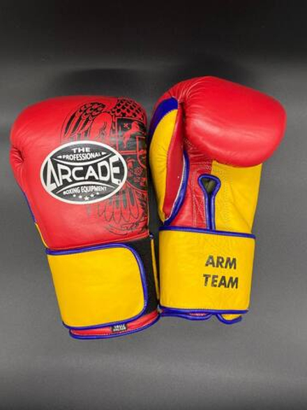 Боксерские перчатки Arcade Arm Team