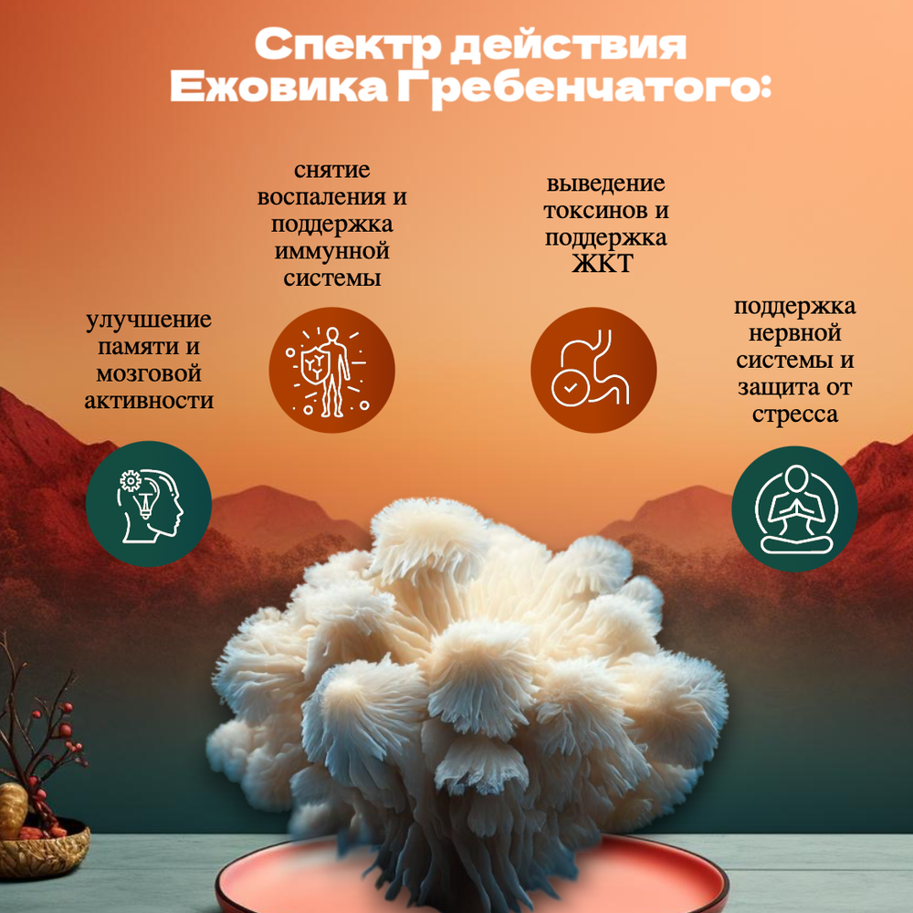 Ежовик Гребенчатый в порошке 500 грамм. Мицелий и Плодовое тело. Hericium Erinaceus, Львиная Грива.
