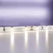 Светодиодная лента 12В 2835 4,8Вт/м 4000K 5м IP20 5мм Led Strip 20008
