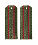 Погоны оливковые два краповых просвета (пластик)