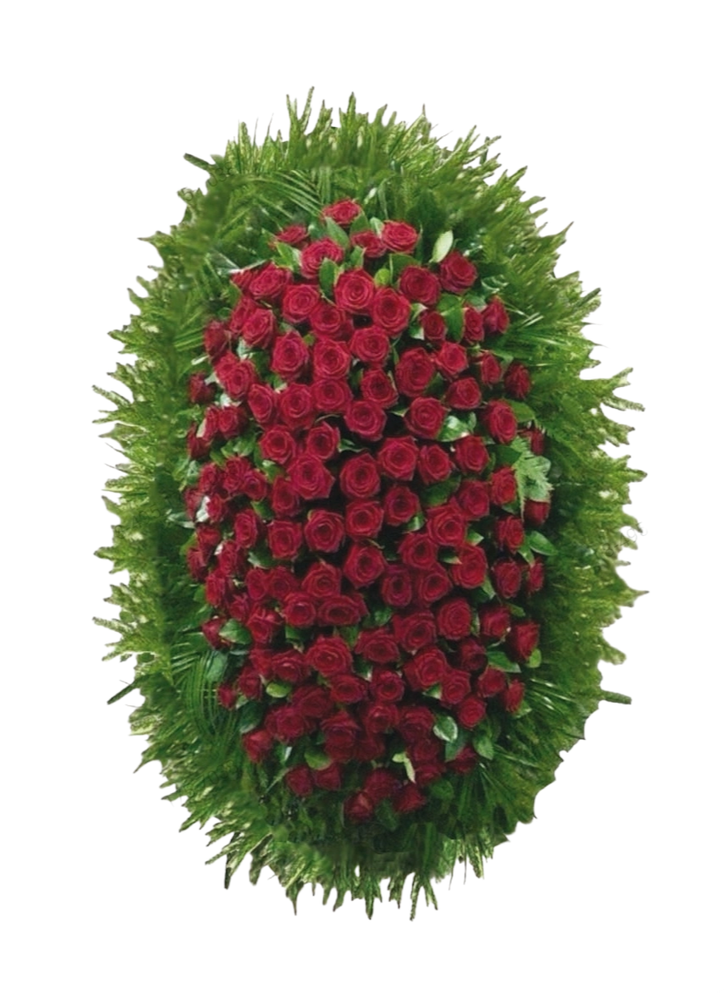 Траурный венок из живых красных роз (ВЖ-15) 150 см.