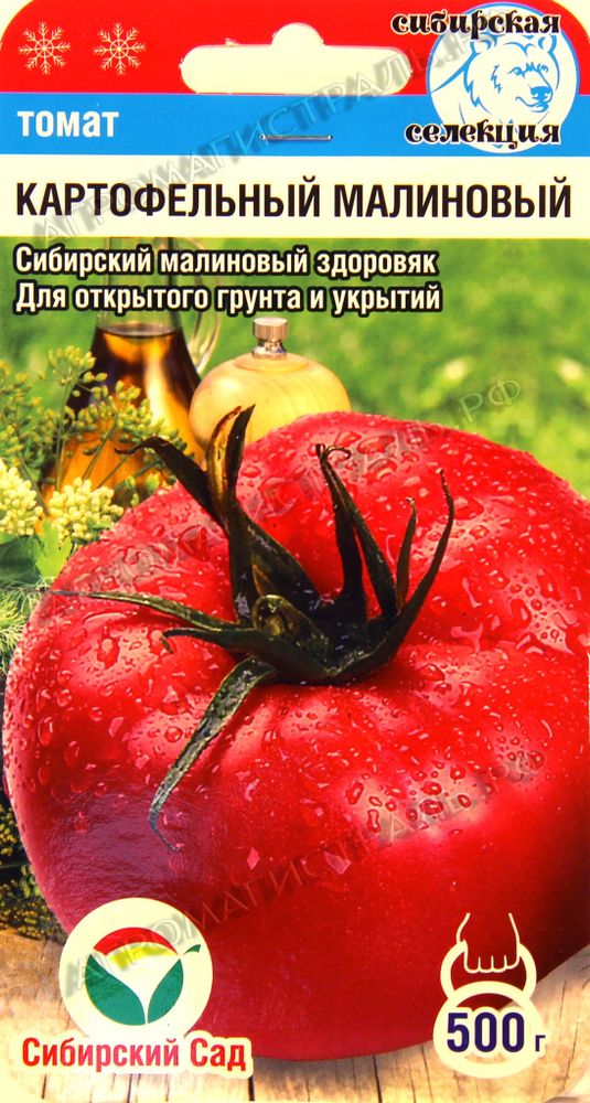 Томат Картофельный малиновый Сибирский сад
