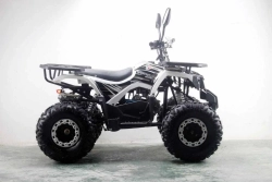 Квадроцикл MOTAX ATV Grizlik Premium 125cc