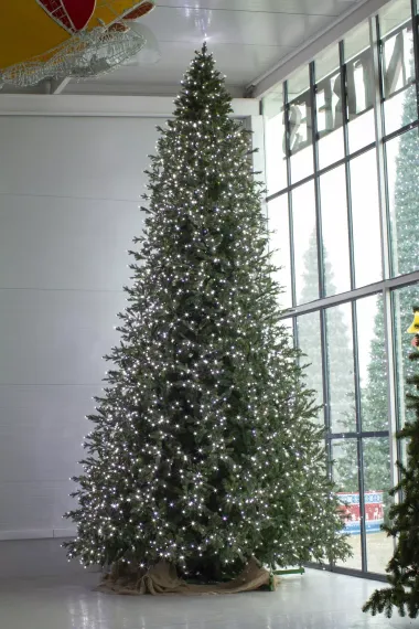 Интерьерная светодинамическая искусственная елка Сказочная Премиум 3,5 м., ствольная, Литая хвоя+ПВХ, Green Trees (GT3,5SKLED)