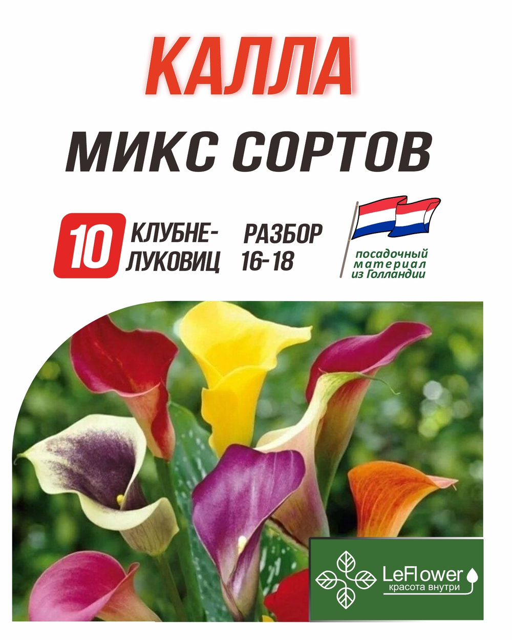 Калла клубнелуковица, Микс сортов, 10шт.