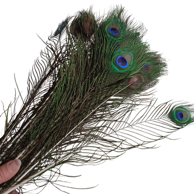 Перо павлина длинное "глаз" натуральное 2 сорт