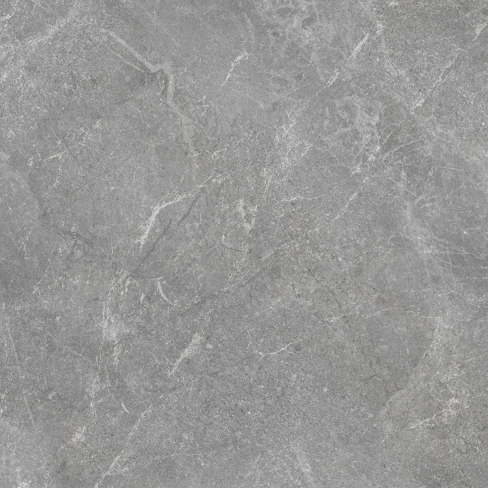 Rocky Grey PRO Керамогранит серый 80х80 матовый R10GR STR