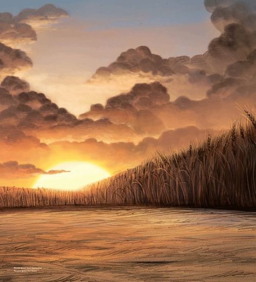 Артбук По ту сторону изгороди.Артбук