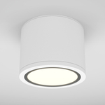 Накладной светильник Maytoni Rendo C095CL-GX53-W