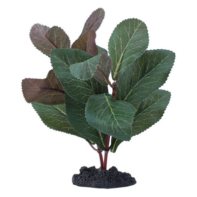 Prime Растение шелковое "Гигрофила" 30 см