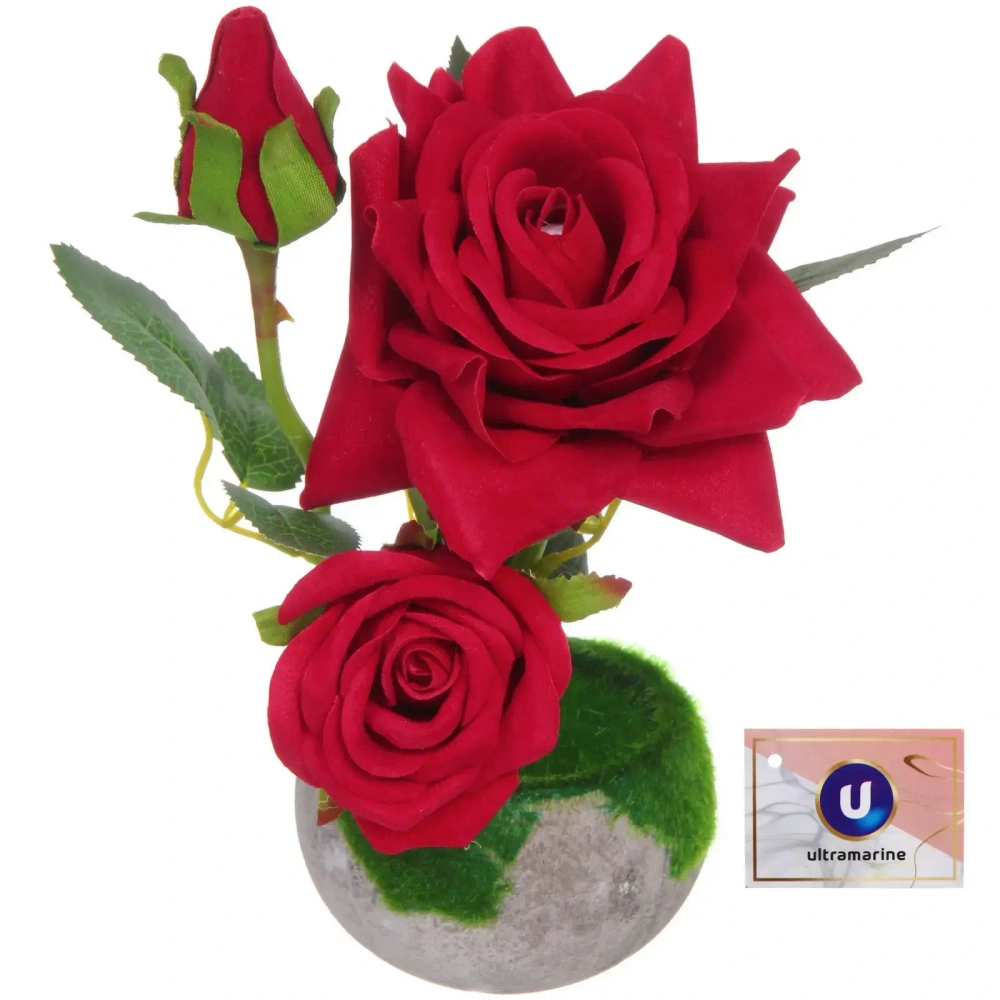 Цветочная композиция «Розовый восторг» 22см в горшке, цвет красный