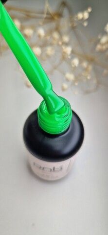 PNB 4 in 1 Liquid Gel Juicy Kiwi  17ml
