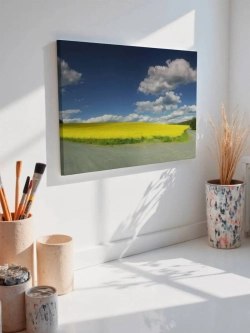 Картина на стену 40 X 50 Поле
