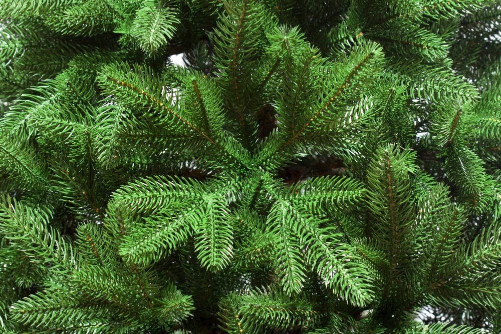 Ель искусственная «Эстер» (Литая хвоя) 215 см / 2,1 м