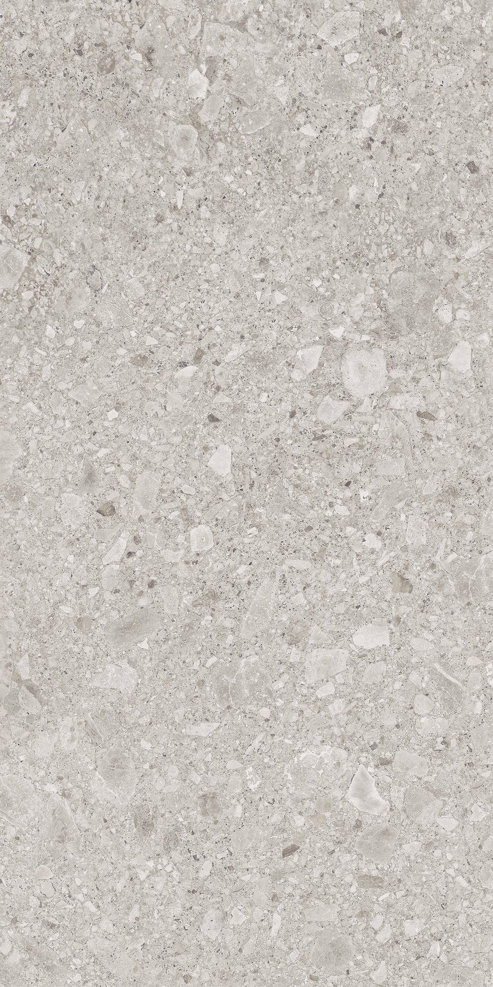 Керамогранит, LB Ceramics, Иней, 600x1200 мм, Серый, Матовая, Плоская