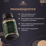 VITABRIDGE| ДЕЙЛИ БАЛАНС