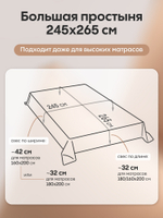 КПБ Однотонный Сатин Элитный OCE015, 2 спальный, 4 наволочки