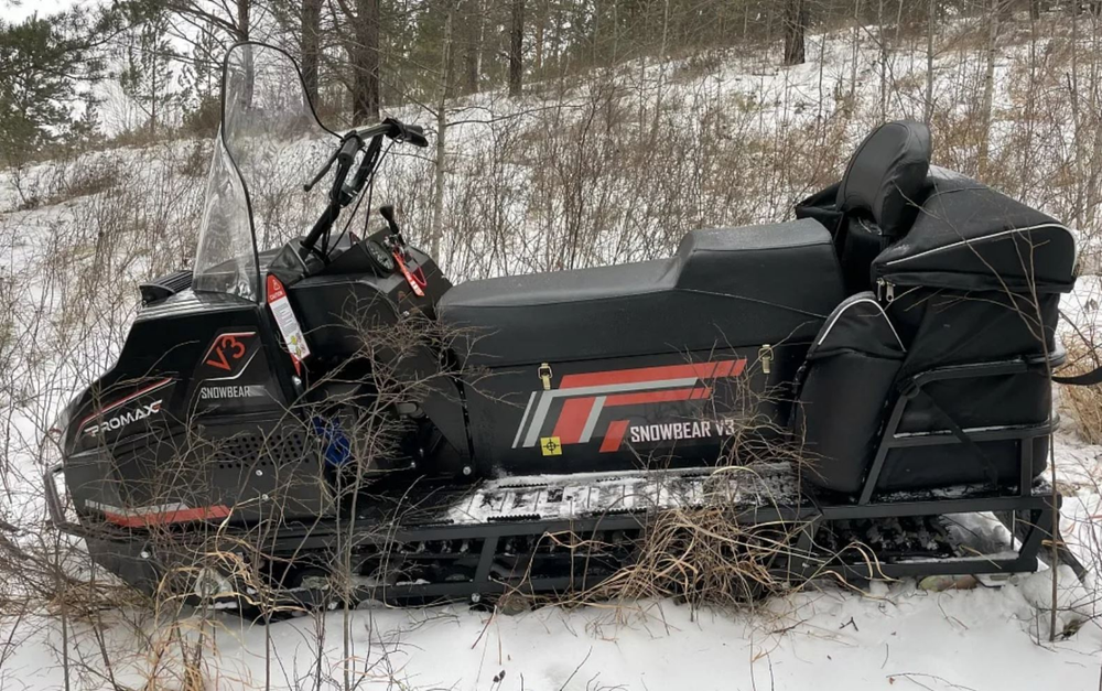 Снегоход PROMAX SNOWBEAR V3 800 4T PRO