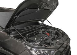 Газовые упоры капота Rival для Toyota RAV4 XA50 2019-н.в., 2 шт., A.ST.5714.1
