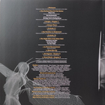 Saga / Symmetry (2LP)