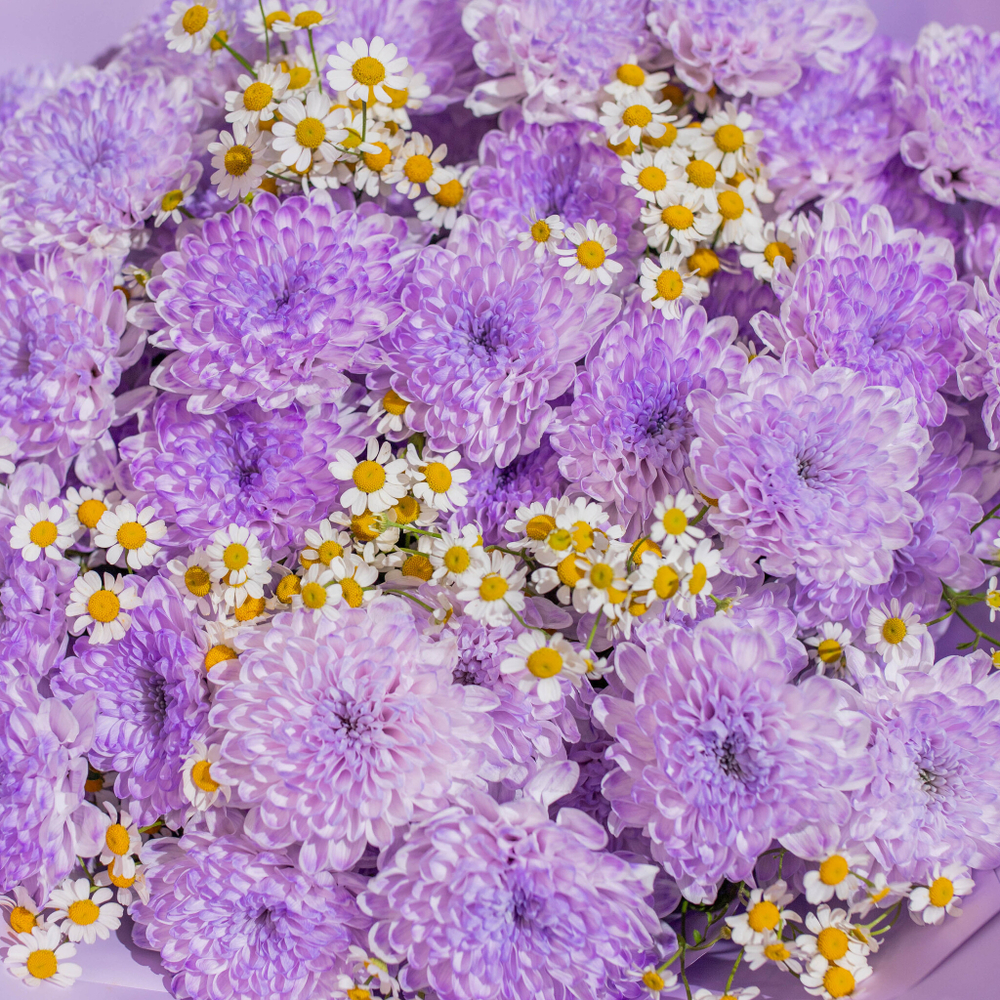 Букет цветов Лавандовое поле с ромашками