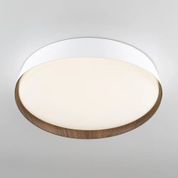 Citilux BONNY CL754350G LED RGB Светильник с пультом Белый+Венге