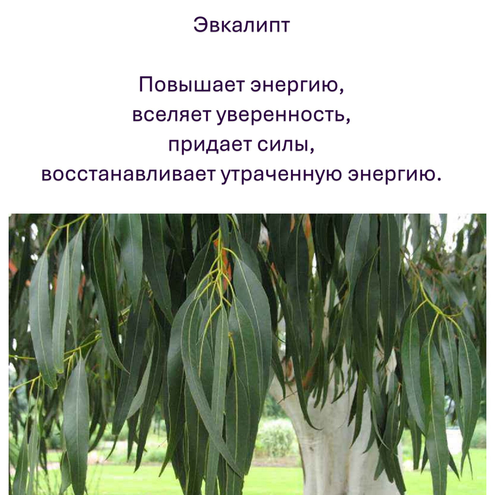 Свечи желтые/ защита и благополучие, с эфирными маслами и травами, 18х2 см