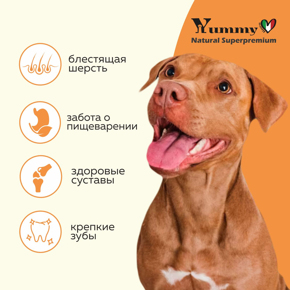 Yummy Linea корм для взрослых собак средних и крупных пород, индейка, 2,5 кг
