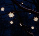 Уличные светодиодные Звезды Гернгута