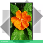 Монитор NEC MultiSync E271N-BK