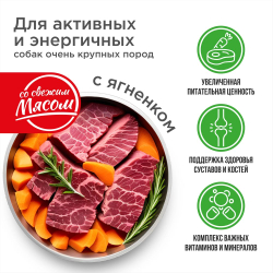 Корм сухой для взрослых собак очень крупных пород, премиум полнорационный комплекс, для активных и энергичных, с ягненком, 12 кг, QUATTRO
