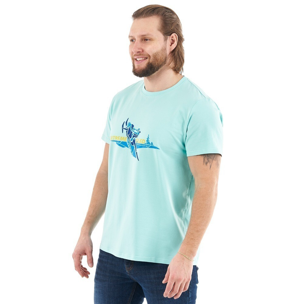 ФУТБОЛКА С ПРИНТОМ DRAGONFLY SNOW EXTREME SLED