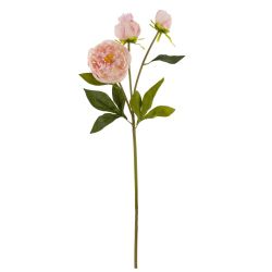 GAEM Цветок искусственный "Пион", L17 W9 H63 см