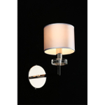 Настенный светильник Aployt Emelin APL.752.01.01