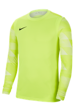 Вратарская кофта Nike Dry Park IV LS GK