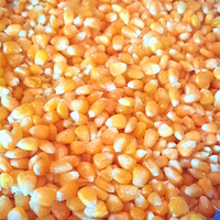 Кукуруза зерно замороженное / Коробка 12кг
