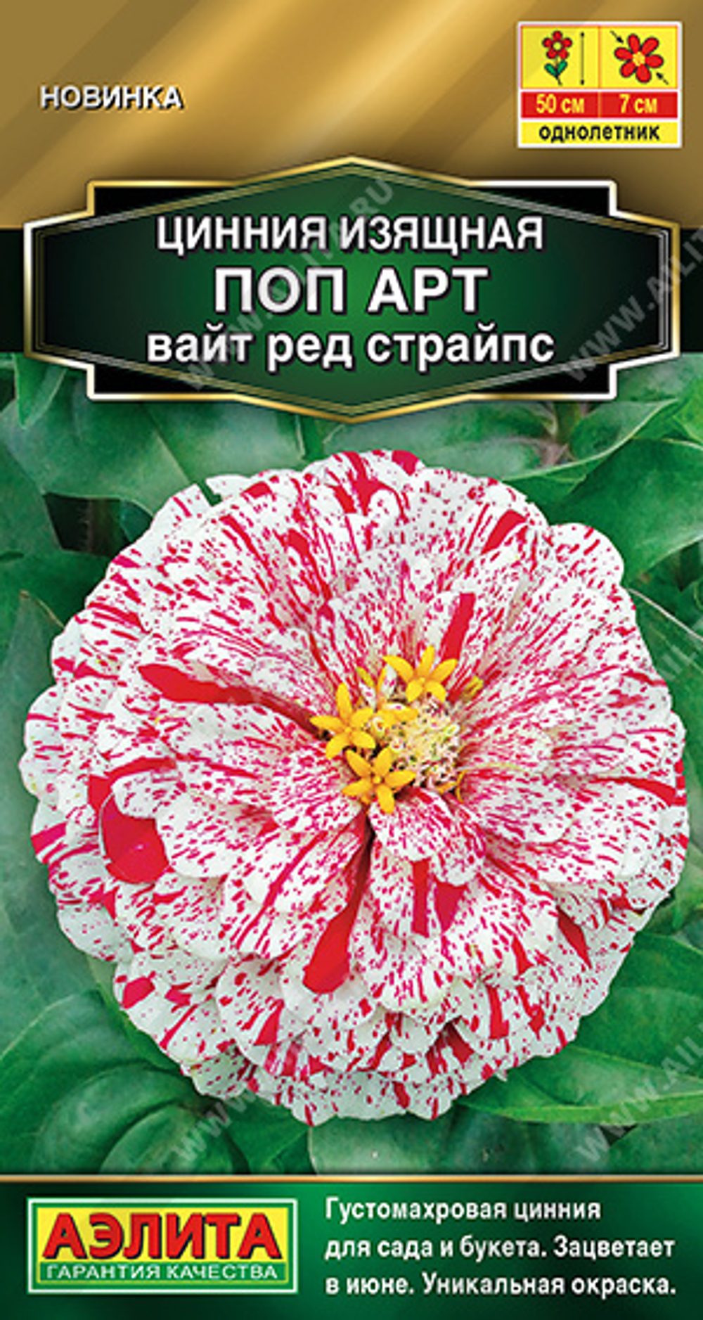 Циния Поп арт вайт ред страйпс 0,1гр Аэлита
