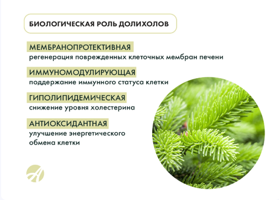 Олеопрен Гепа