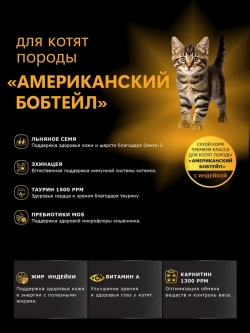 Корм для котят породы Американский бобтейл, с индейкой, 2кг