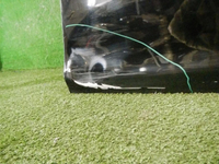 DSCN1609.jpg