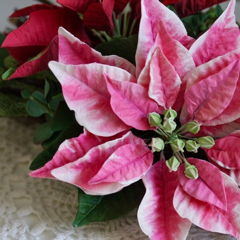 Вайнер силиконовый лист Пуансеттии ClayCraft by DECO™