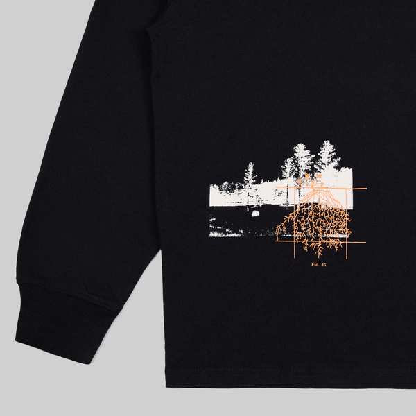 Лонгслив мужской Dickies Kenbridge Tee артикул:DK0A4YVRBLK1 - купить в магазине Дайс