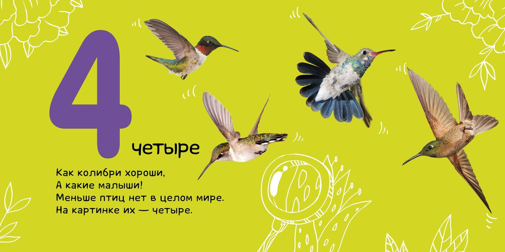 Числа. Солнечная фото-книга (переиздание)