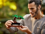 Конструктор LEGO Botanical Collection 10281 Бонсай