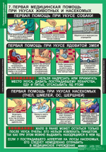 Правила оказания первой медицинской помощи (15 таблиц, 68х98 см)