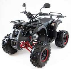 Квадроцикл MOTAX ATV Grizlik-8 125