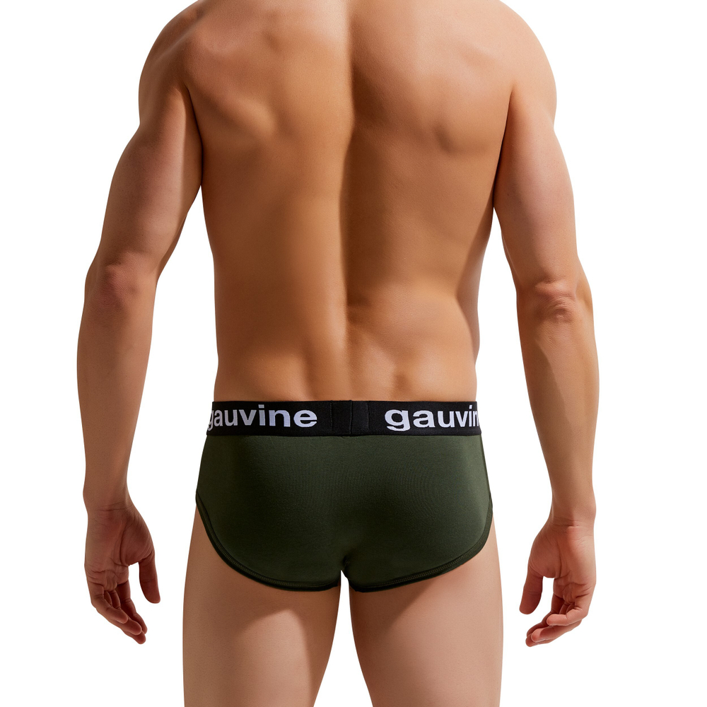 Мужские трусы брифы хаки GAUVINE 2006