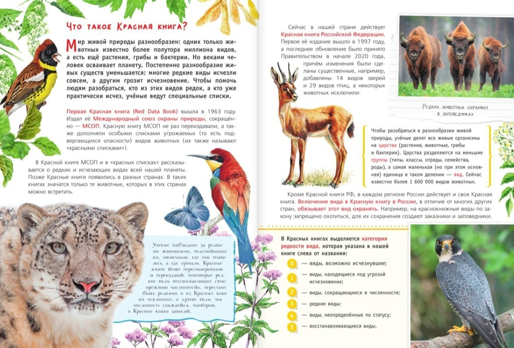 Красная книга для детей